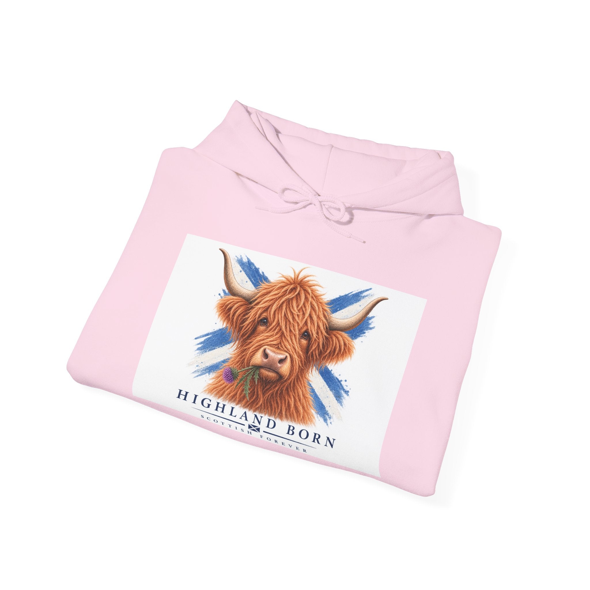 Highland Born Scottish Cow Hoodie