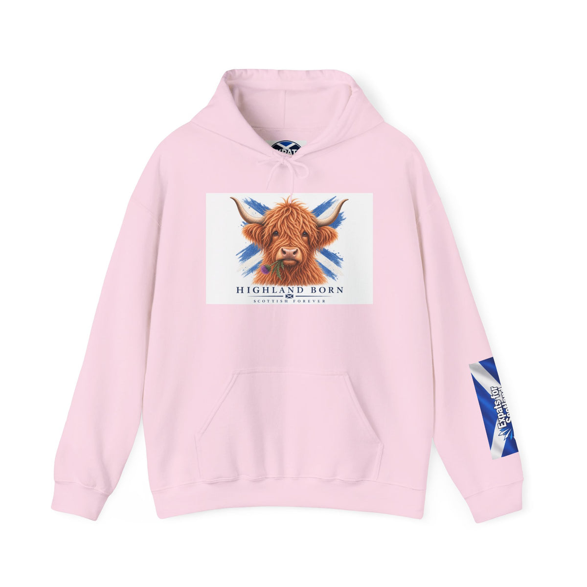 Highland Born Scottish Cow Hoodie