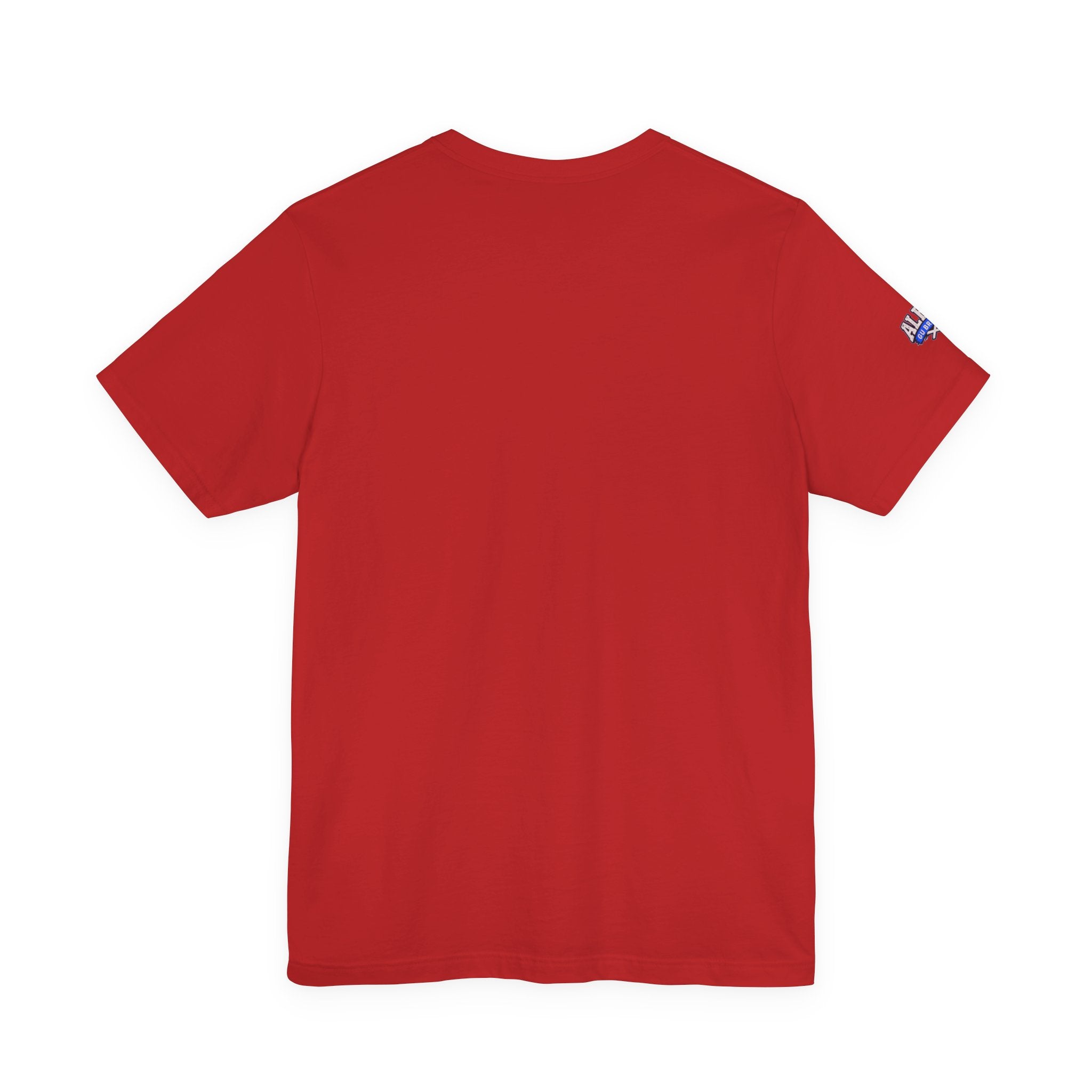 Mind Body Spirit Triskelion T-Shirt — Celtic Wellness Tee
