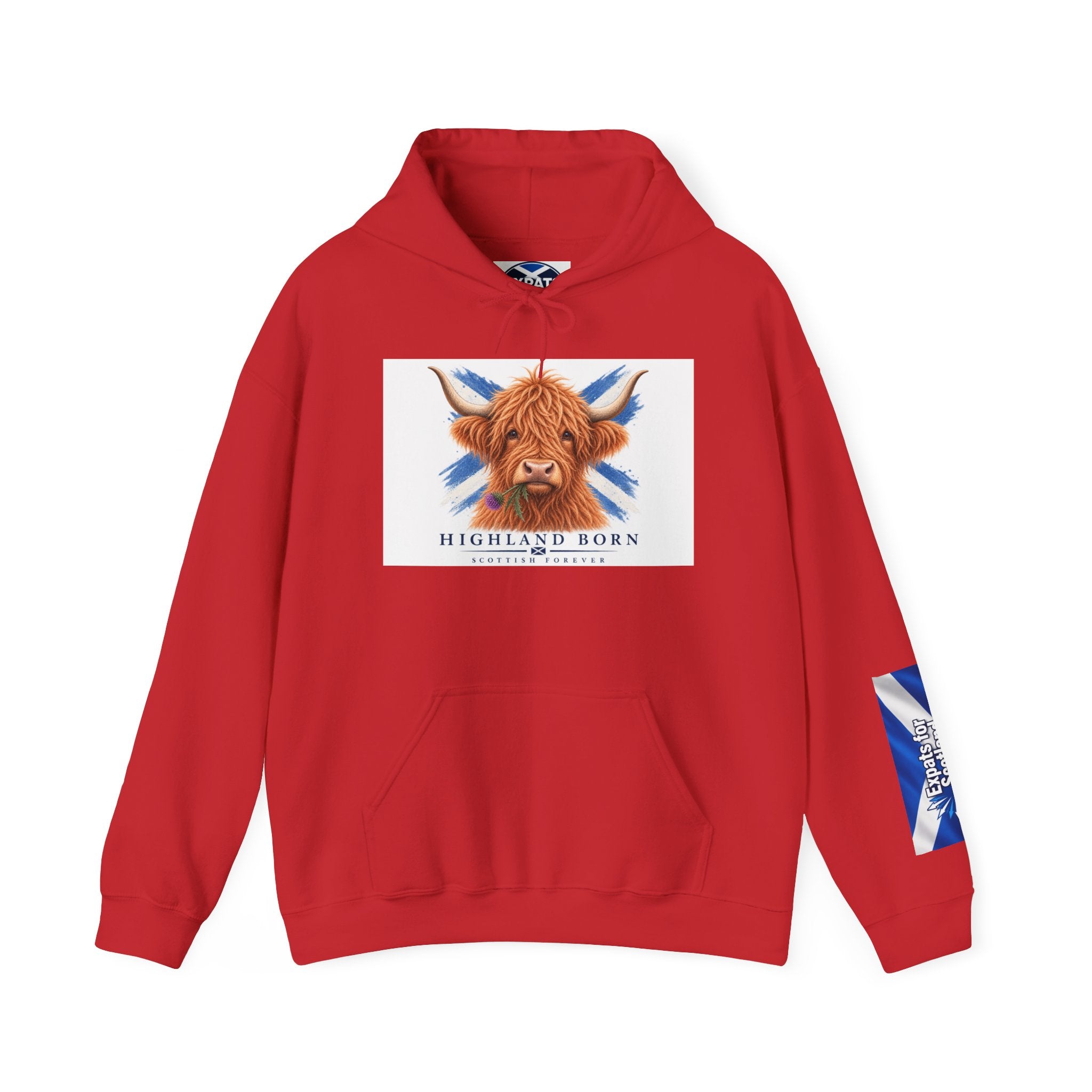 Highland Born Scottish Cow Hoodie
