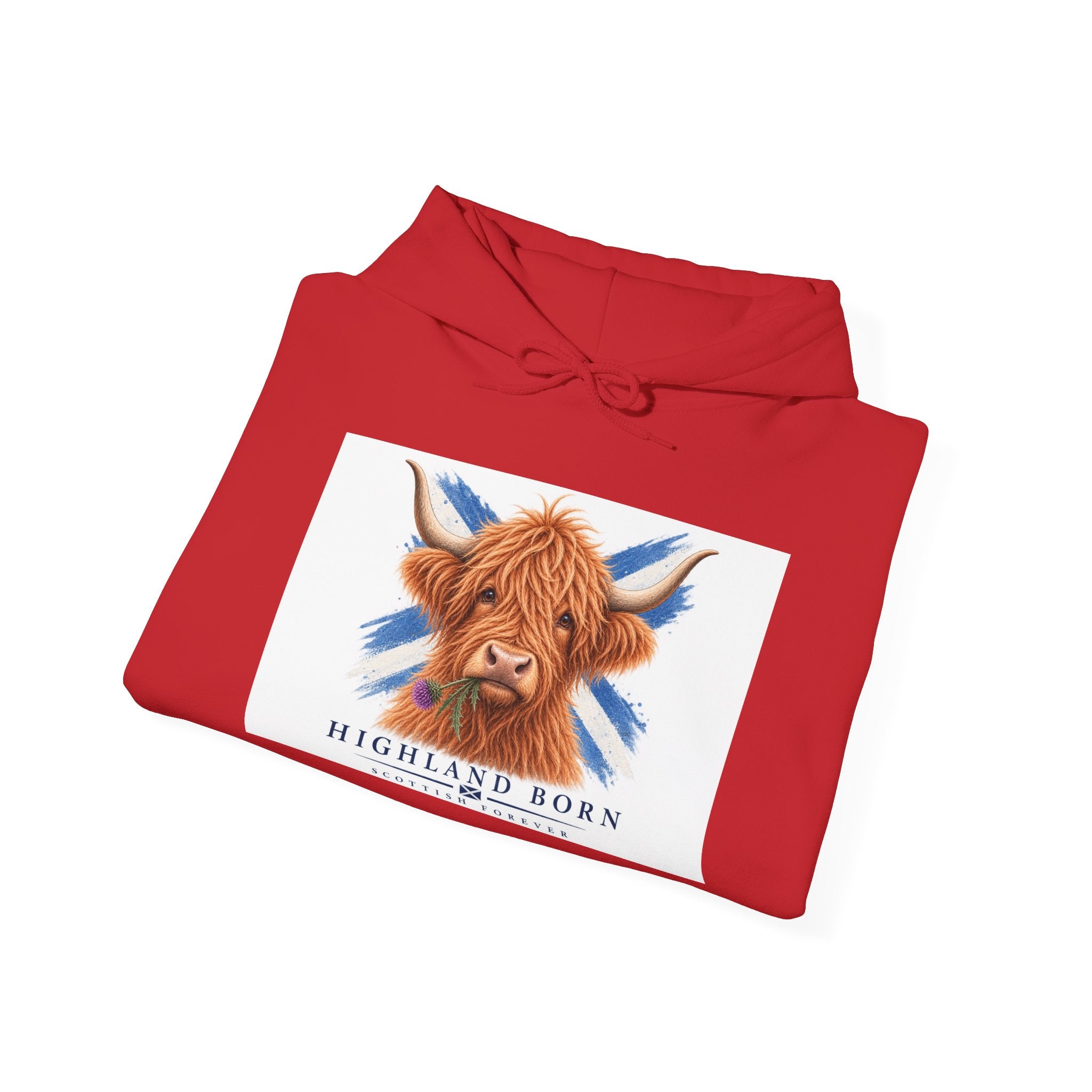 Highland Born Scottish Cow Hoodie